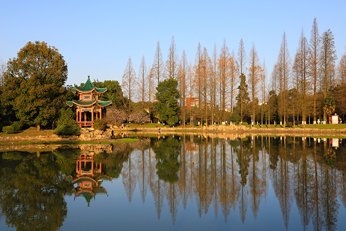 寸草湖景观